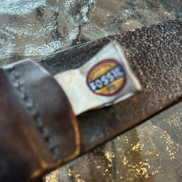 Fossil Belt - Picture 4 of 4